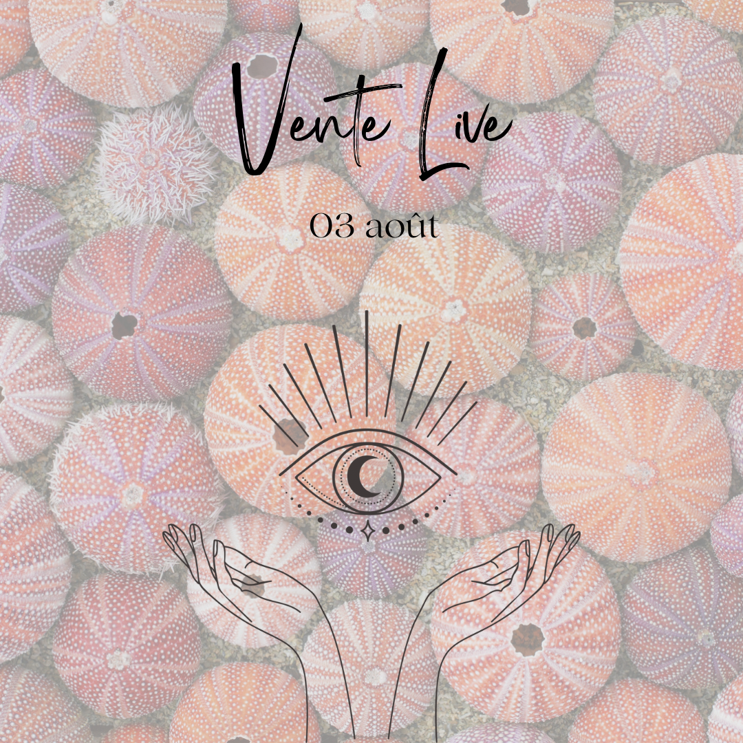 Vente live lacmu21