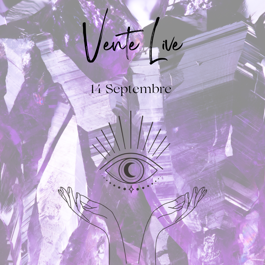 Vente live adelemorel78