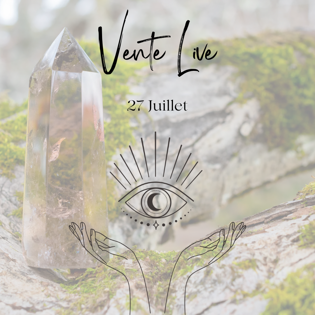 Vente Live envol_13990