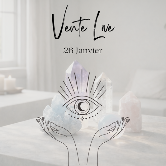 Vente live Welle.so