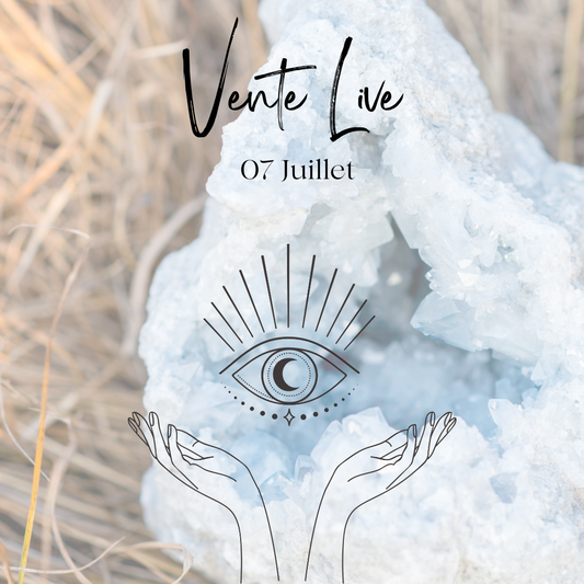 Vente live aureliebravoroman