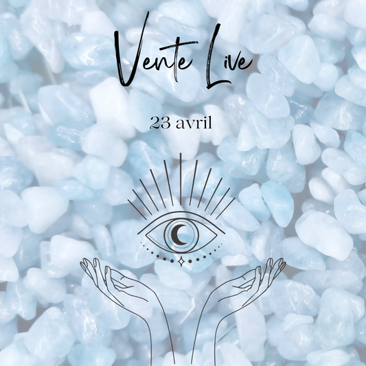 Vente live vaness.vdo