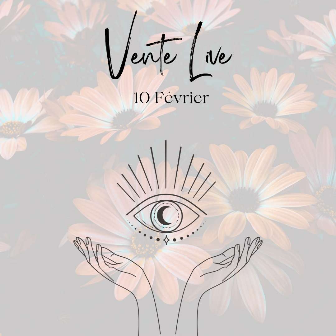 Vente live wille.so