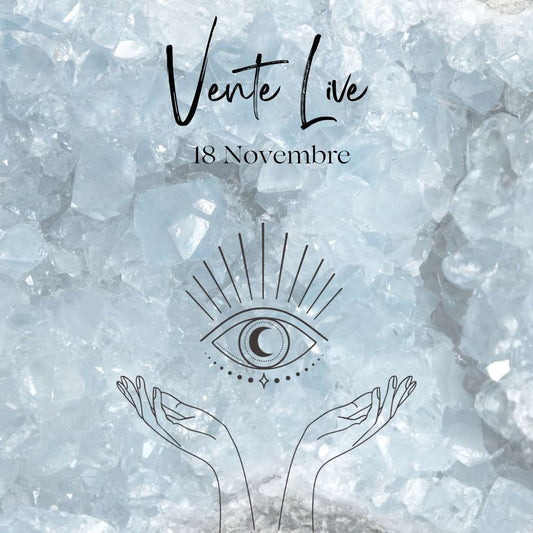 Vente Live wille.so